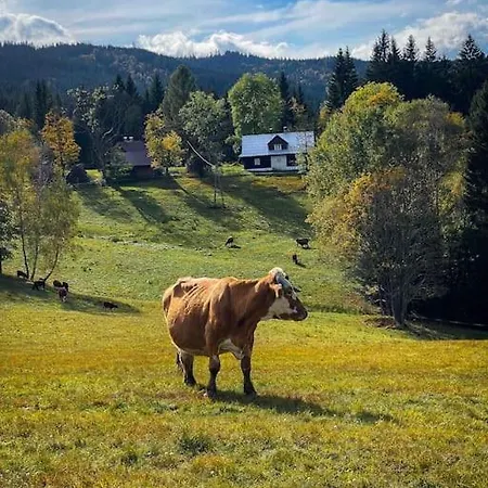 Stodola Morávka