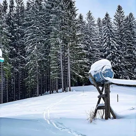 Stodola Chalet *